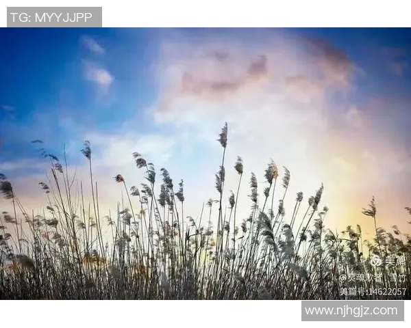 王岚的音乐旅程与人生哲学探讨:从旋律中寻找灵魂的共鸣与成长 王岚的音乐旅程与人生哲学探讨:从旋律中寻找灵魂的共鸣与成长